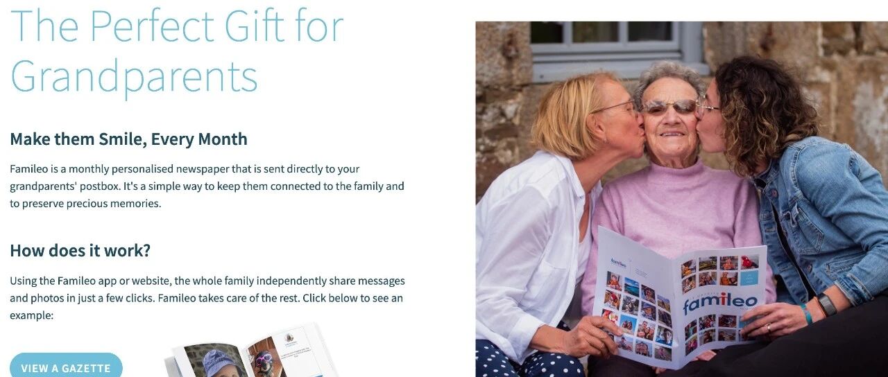 揭晓年营收 930 万美金的网站到底是做什么的